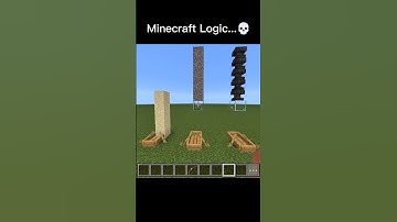 When Minecraft Logic Makes No Sense!🤯 #minecraft #shorts