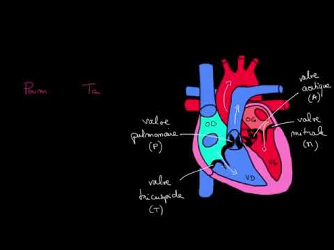 QLAB Cardiac Analysis | Philips