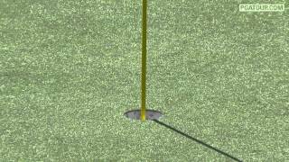 Famous Tiger Woods' incredible chip in on #16 at the Memorial Tournament 2012 Wealth