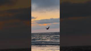 Download Lagu 27 augustus 2025 MP3