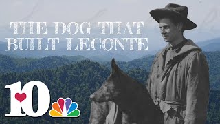 Cumberland Jack, the dog that built Mount LeConte