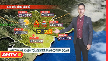 Dự báo thời tiết tối 29/7: Bắc Bộ chiều tối có mưa rào và dông, vùng núi cục bộ có mưa to | ANTV