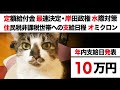 10万円給付 最速支給は12/14【定額給付金 再給付・岸田政権 最新情報】住民税非課税世帯に10万円「自治体ガチャ」オミクロン株 国内第1号 水際対策「全ての外国人 イスラエルと日本」