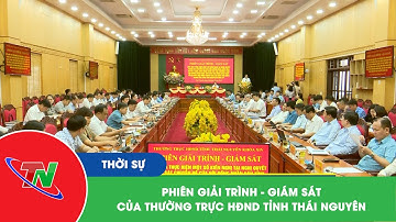 Phiên giải trình - Giám sát của Thường trực HĐND tỉnh Thái Nguyên