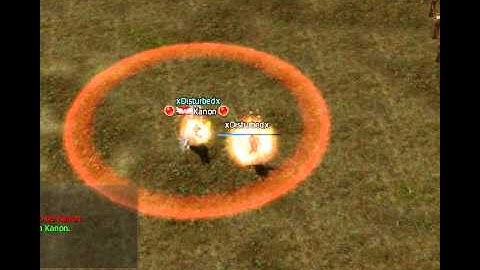 Lineage 2  PvP Duelist official server