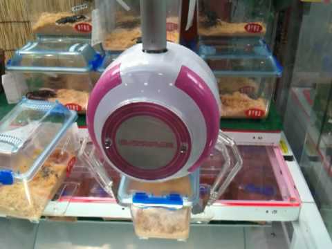 かぶとむし くわがた ＵＦＯキャッチャー おしい