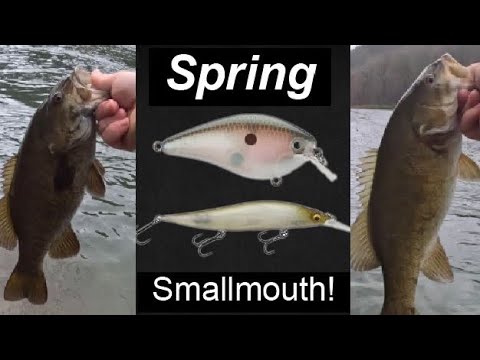 How to Fish the Heddon Zara Spook Puppy for River Smallmouth 