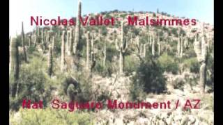 N. Vallet Malsimmes After The 1618 Version