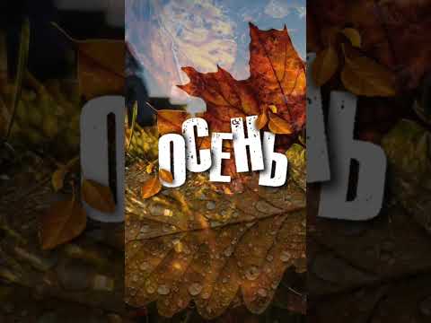 Впереди счастье☺✨ Главное верить❤ #музыкальнаяоткрытка #youtubeshorts #счастьерядом #впередисчастье