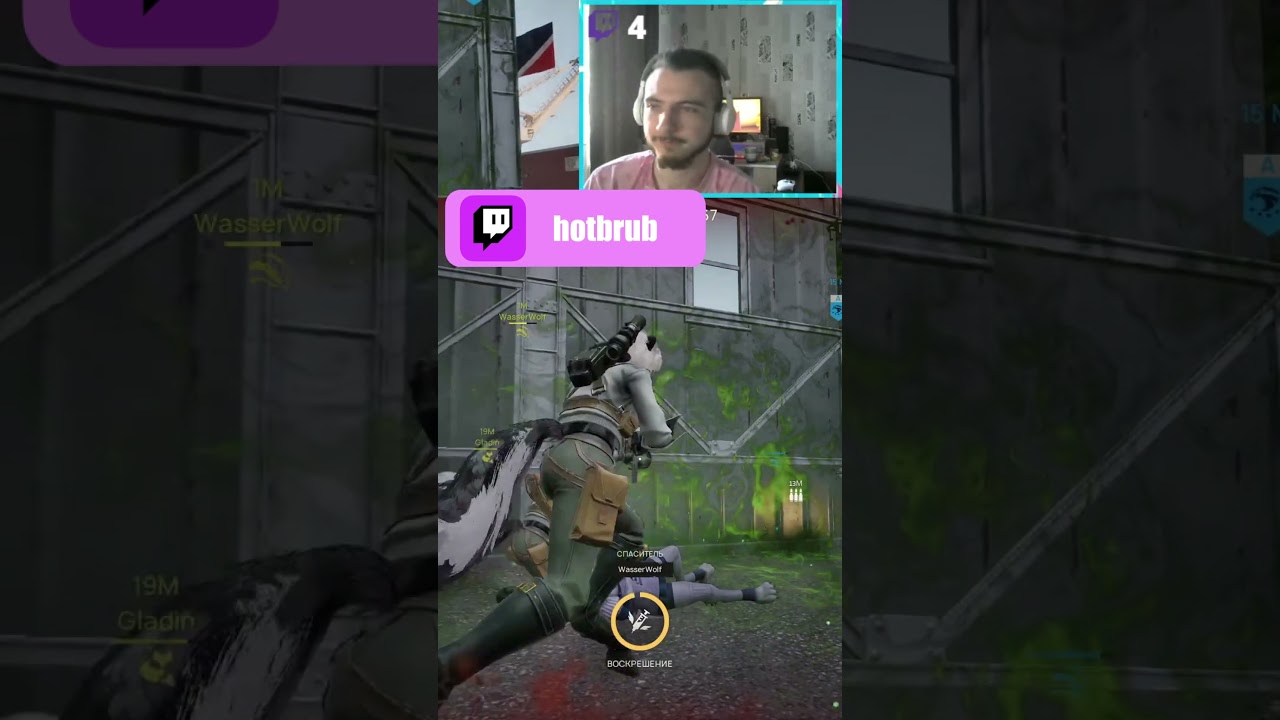 🐰Wild Assault🦊 Момент со стрима