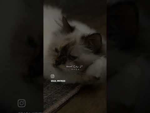 وآنکه به روح خود پی ببرد خدا  مولانا آرامش روح  