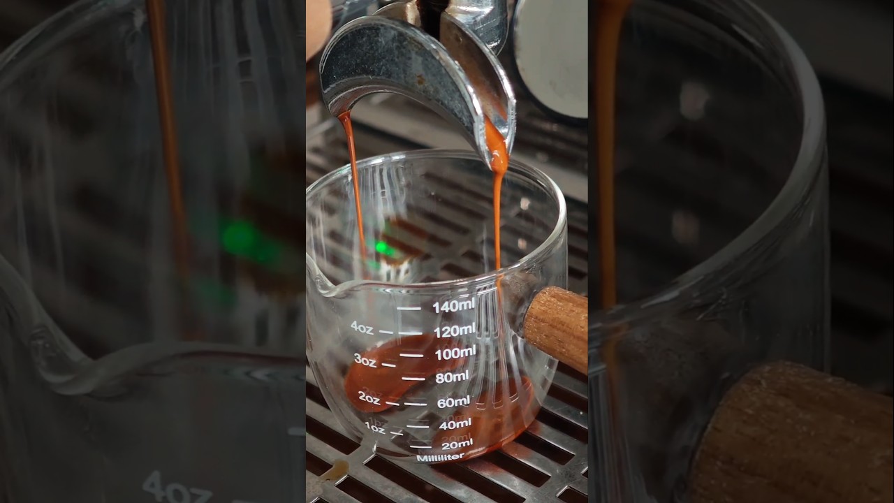 profitec pro 800 asmr☕ 