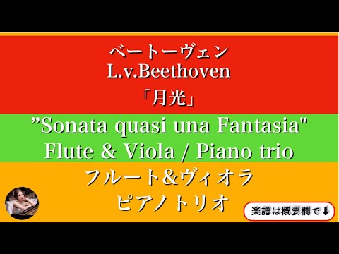 Piano Sonata No. 14(op.27-2) (Flute & Viola/ Piano trio ) - Beethoven