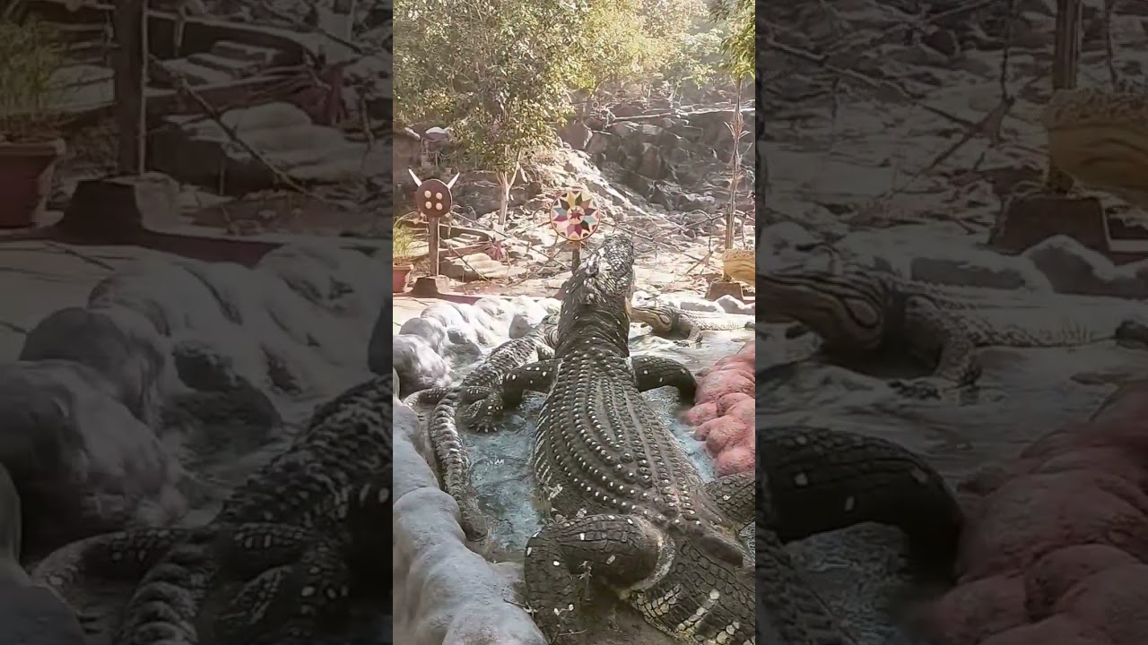 Nizora Park and Waterfall!!! Entey adult & Children  