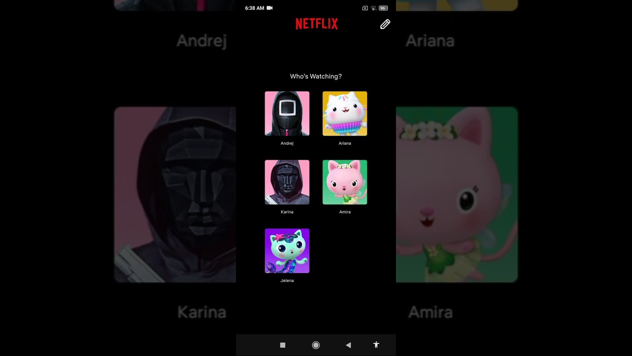 Netflix account