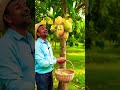 ▶मेहनत का फल | श्रम का फल | Work Is Money | TinyToonDuniya