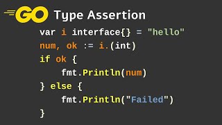 Celebrity Type assertion - Go programming language tutorial (25) Net Worth