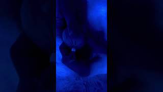 Quiet ASMR#asmr#diyasmr#sleep