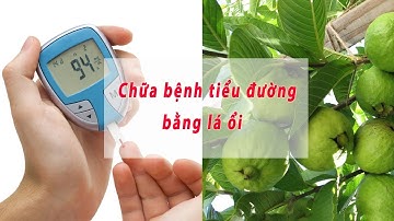 [TPCNB] Chia sẻ 05 Bài Thuốc Trị Bệnh TIỂU ĐƯỜNG Bằng Lá ỔI dễ thực hiện tại nhà