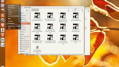 Unity window-management dot feature Ubuntu 13.04 final