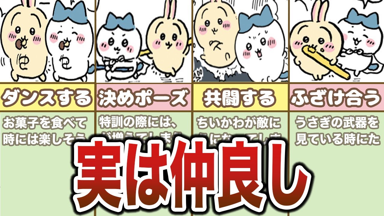 ハチワレとうさぎの仲良し友情シーンまとめ【ゆっくり解説】 - YouTube