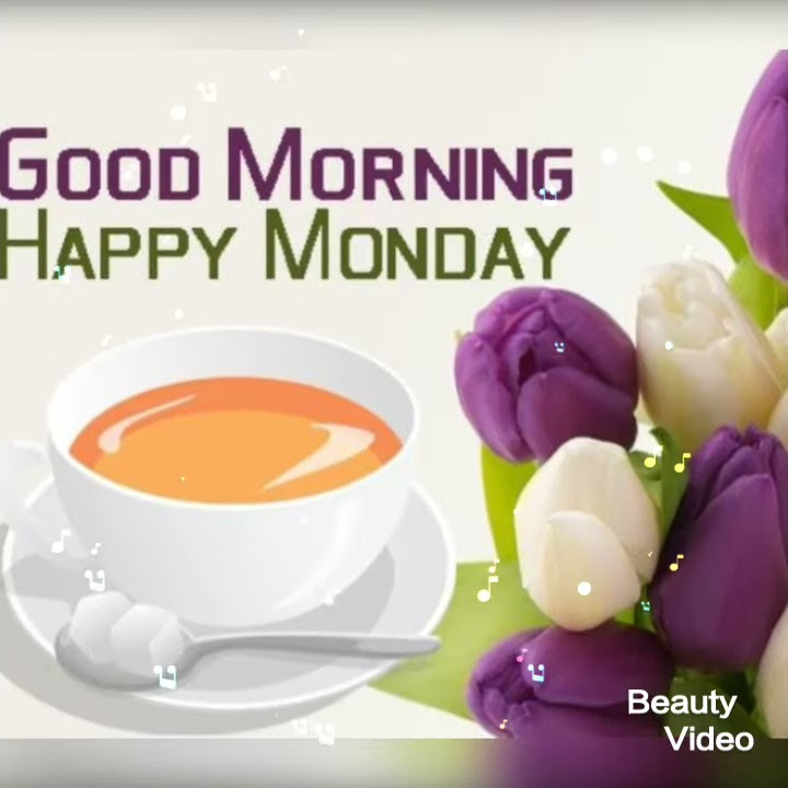 Download lagu Good morning monday images & welcome February 2021, best good morning images
