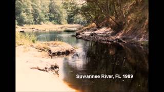 Gator Juke Box Suwannee 2