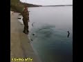 То самое место #рыбалка #окунь #newone #спиннинг #джиг#fishing