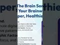 The Brain Song 🧠🎧 | Improve Memory &amp; Focus Instantly | Study Music 2026