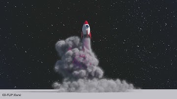 Fluid Implicit Particles on Coadjoint Orbits (SIGGRAPH Asia 2024) - Full Experiments