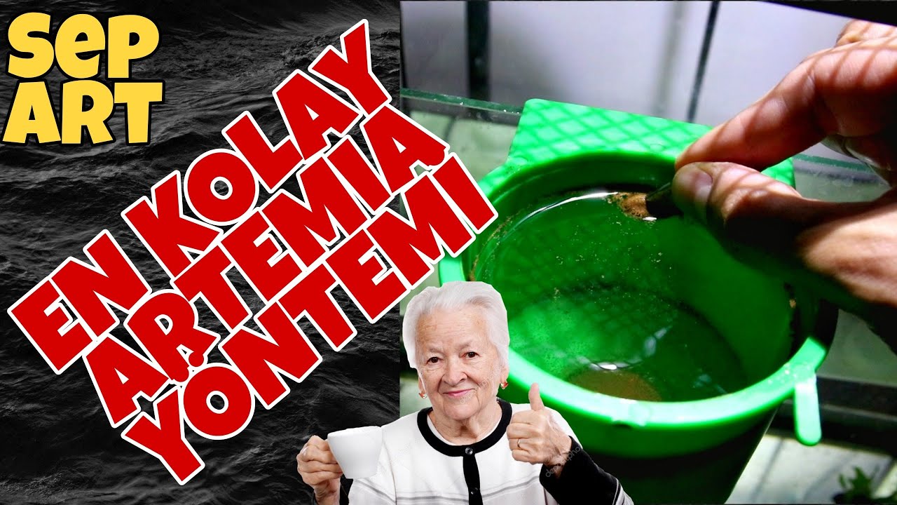 Dertsiz 🎯 Artemia Çıkarma Yöntemi, Sep-Art 🐋