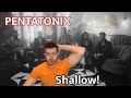 PENTATONIX - Shallow (REACTION) I’ve missed them!