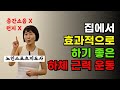 집에서 따라하기 효과적인 하체 근육량 늘리는 운동 10분 #근감소증예방 #하체운동