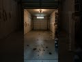 Transform Your Garage into a Dream Gym