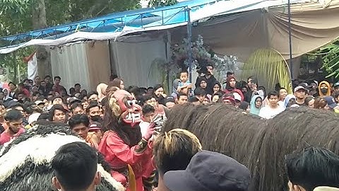 BANASPATI DAN MACAN ALAS MUNCUL BUDOYO LIVE DEREK