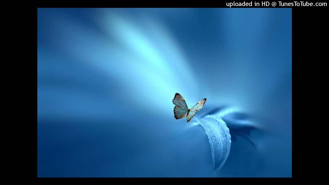 (sold) real 444jet xaviersobased type beat (prod grimgar)