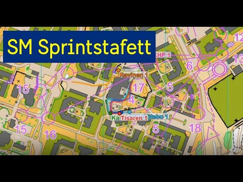 Video: Orientering: Sport Eller Fritid?