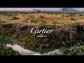 Panthère De Cartier A New Film From The Maison Directed By Nathalie Canguilhem 