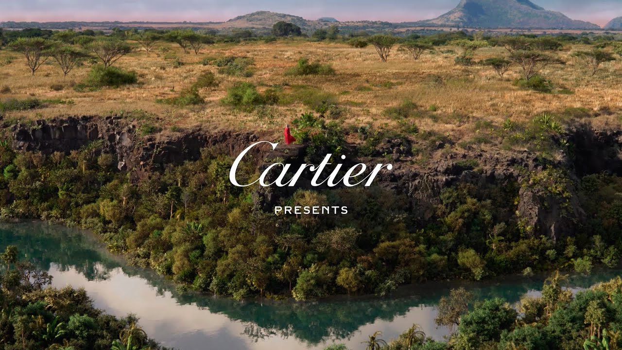 Panthère de Cartier: a new film from the Maison, directed by