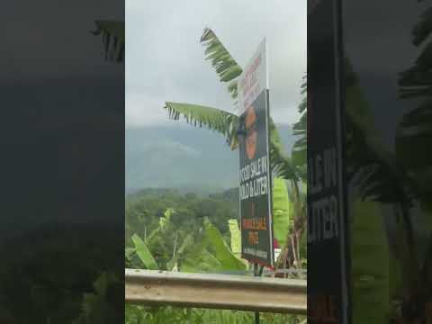 വയനാട് #shorts#shortsfeed#travel