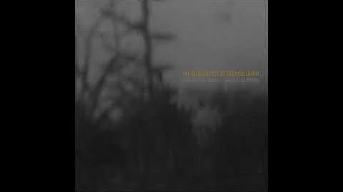 Fake Plastic Heads & Johann Caldern - The Silhouet...