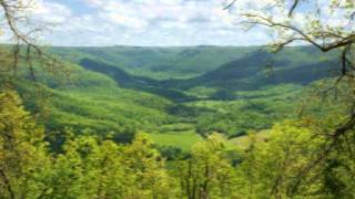 Pope's Arkansas Mountaineers - Cotton Eyed Joe