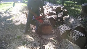 Beast Mode Echo 490 With Muffler Mod