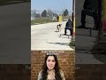 Workers Saw This Dog Every Day But Couldn't Get Close | The Dodo