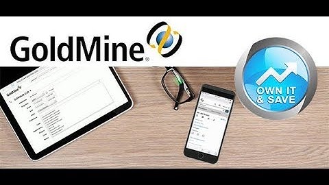 GoldMine CRM integration options