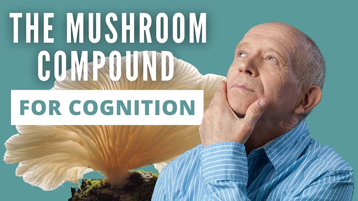 How Mushroom Ergothioneine helps longevity and brain health