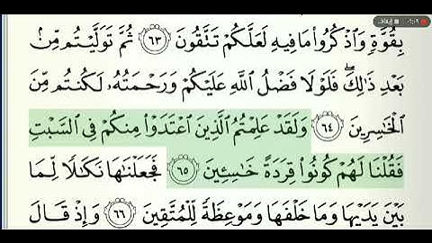 القرآن الكريم صفحة رقم 10 الشيخ وديع اليمني