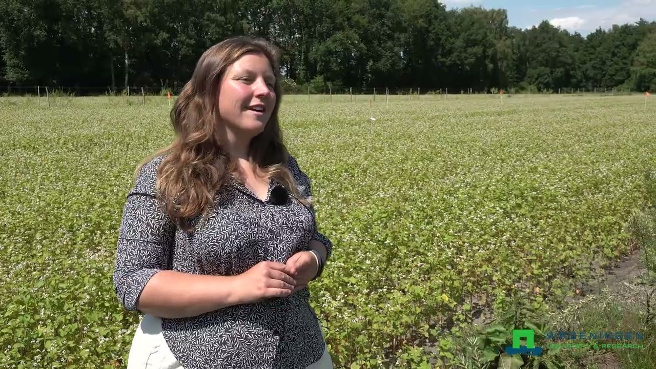 Agroforestry - Rineke Dijkinga en Jan Dommerholt - 2022