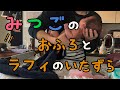 三つ子の沐浴中は愛犬のいたずらに気づかない事が判明しました