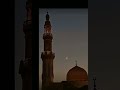 if you are a real muslim so pls like and subscribe